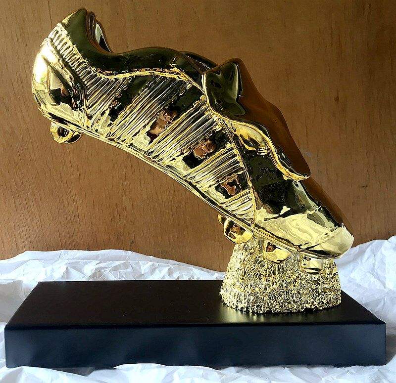 南非世界杯金靴奖，南非世界足球杯冠军！