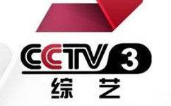 cctv2在线直播电视，cctv 2直播在线观看！