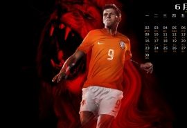世界杯荷兰，2010年世界杯荷兰！